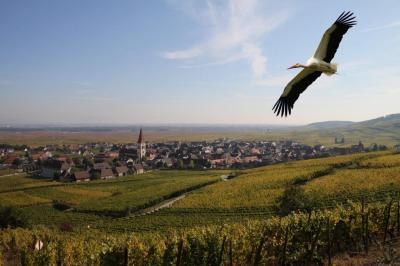 Domaine Pierre Adam